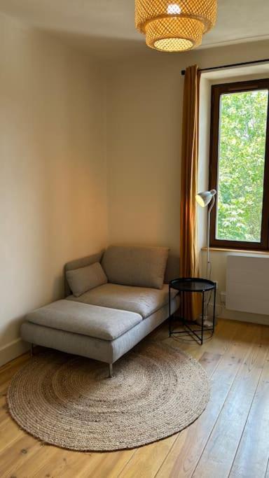 T2 Cocon Avec Balcon Et Parking Daire La Roche-sur-Foron Dış mekan fotoğraf